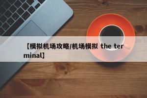【模拟机场攻略/机场模拟 the terminal】