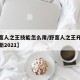 【野蛮人之王技能怎么用/野蛮人之王升级数据最新2021】