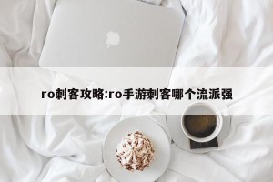 ro刺客攻略:ro手游刺客哪个流派强